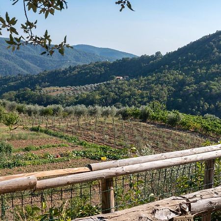 Вилла Poggio Al Mandorlo Греве-ин-Кьянти Экстерьер фото